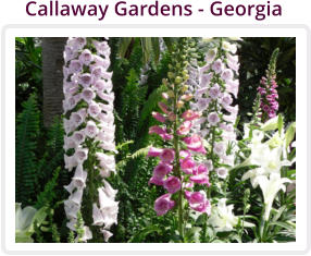 Callaway Gardens - Georgia